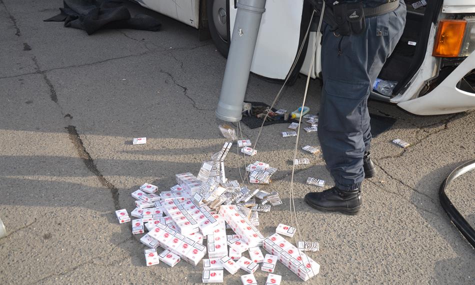 2014-11-3-1016link.bus 9.JPG